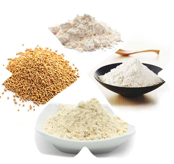 乳清乳鐵蛋白復(fù)合粉劑oem代加工 乳清蛋*固體飲料oem代加工