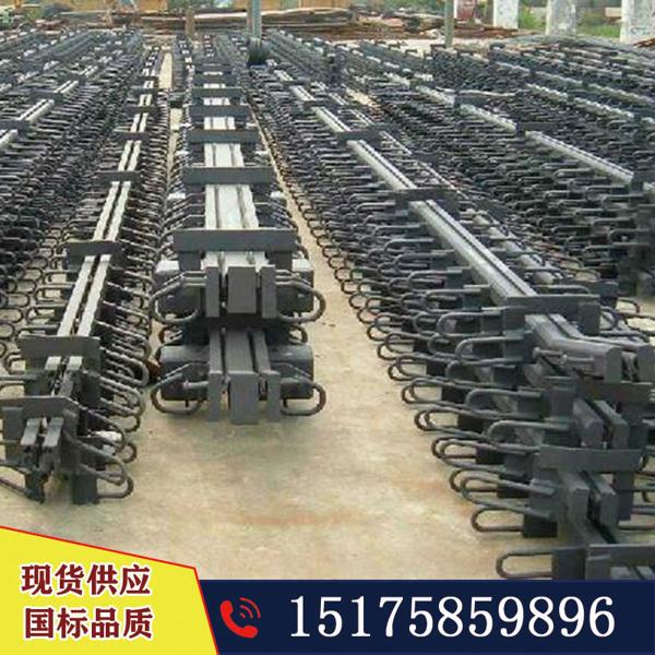 云南麗江安裝橋梁梳齒板伸縮縫SSFB160型 普通型號E40