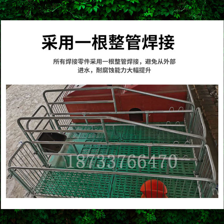 廠家直銷(xiāo)雙體母豬產(chǎn)床保育養(yǎng)豬設(shè)備