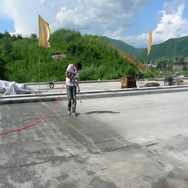 砼保護(hù)劑,混凝土基面防水抗?jié)B保護(hù)涂料