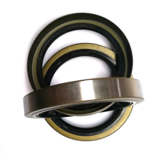 現(xiàn)貨供應(yīng)骨架油封 O型密封圈電機防塵油封 TC雙唇油封廠家