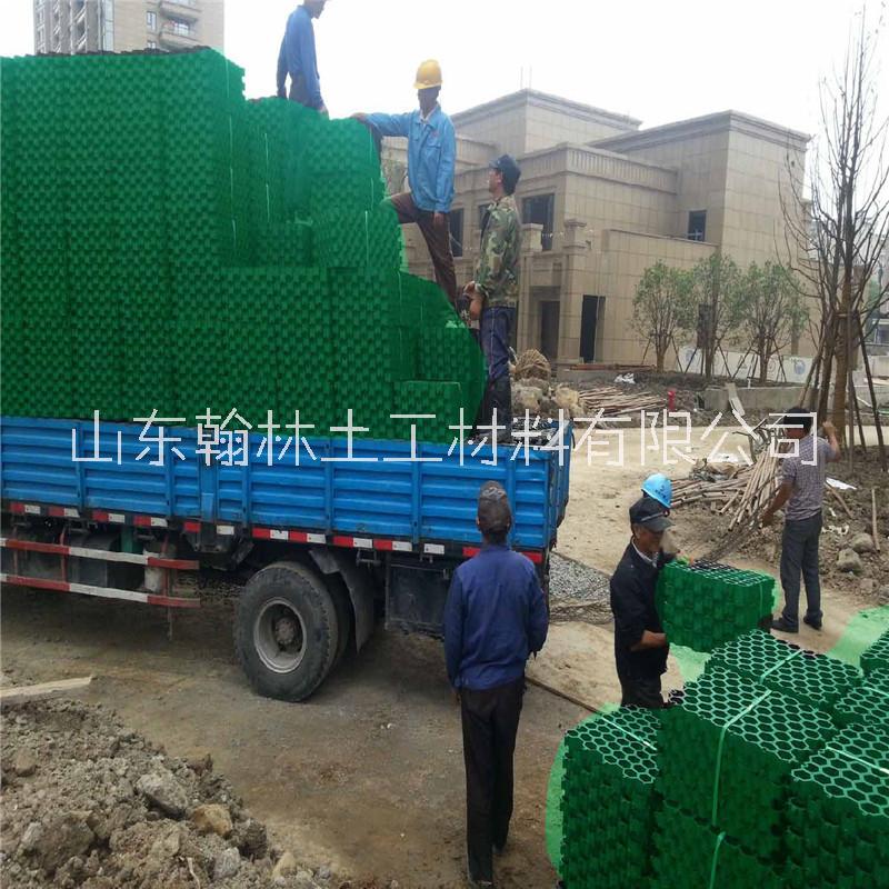 植草格人行道綠化用塑料植草格可加工定制植草格消防道用植草格