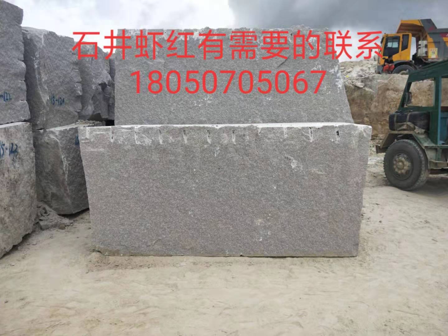 福建石井蝦紅供應(yīng)廠家