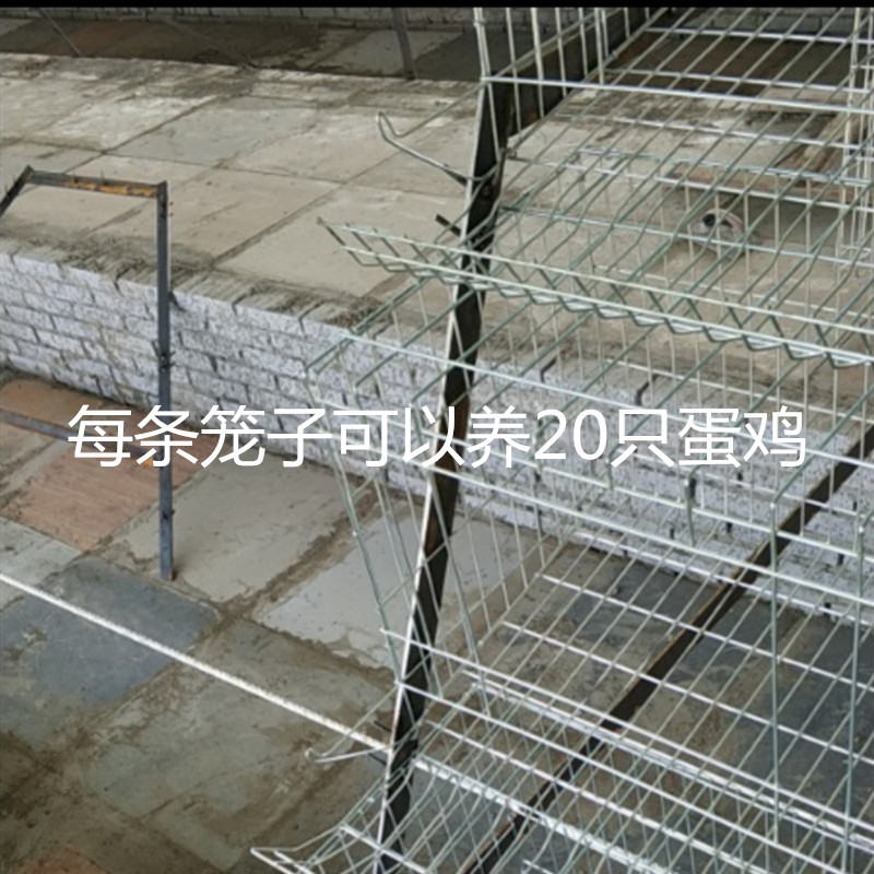 河北雞籠|雞籠供應(yīng)商|供應(yīng)雞籠的自動(dòng)化養(yǎng)殖 雞籠設(shè)備