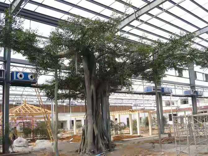 濰坊仿真樹批發(fā)、廠家供應(yīng)、熱線、哪里有賣【臨朐巖玥園林藝術(shù)廠】