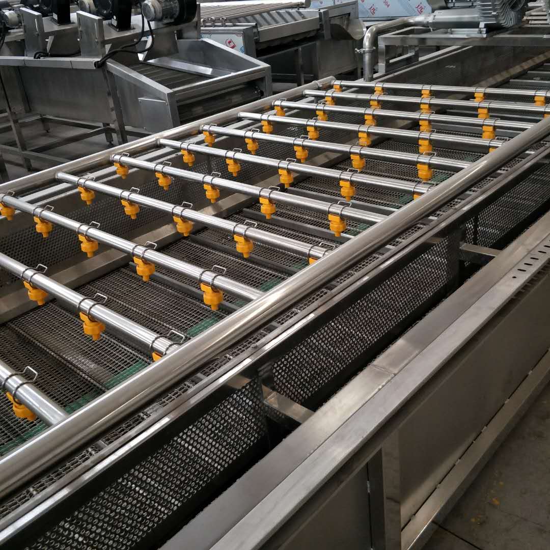 菠菜小白菜清洗機(jī)、全自動、多功能【金星傳動機(jī)械廠】