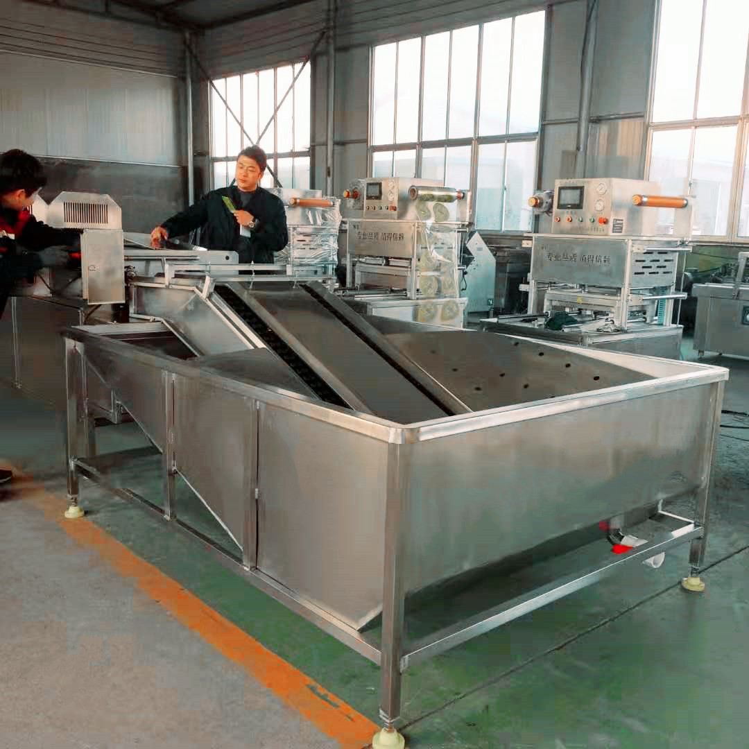 雙排雞鴨蛋清洗機 泥蛋自動清洗機 商用潔蛋設(shè)備