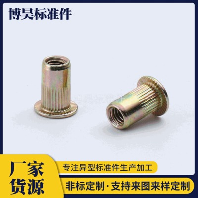 彩鋅拉鉚螺母 拉鉚螺帽 平頭拉鉚螺母 小沉頭拉鉚螺母 多規(guī)格