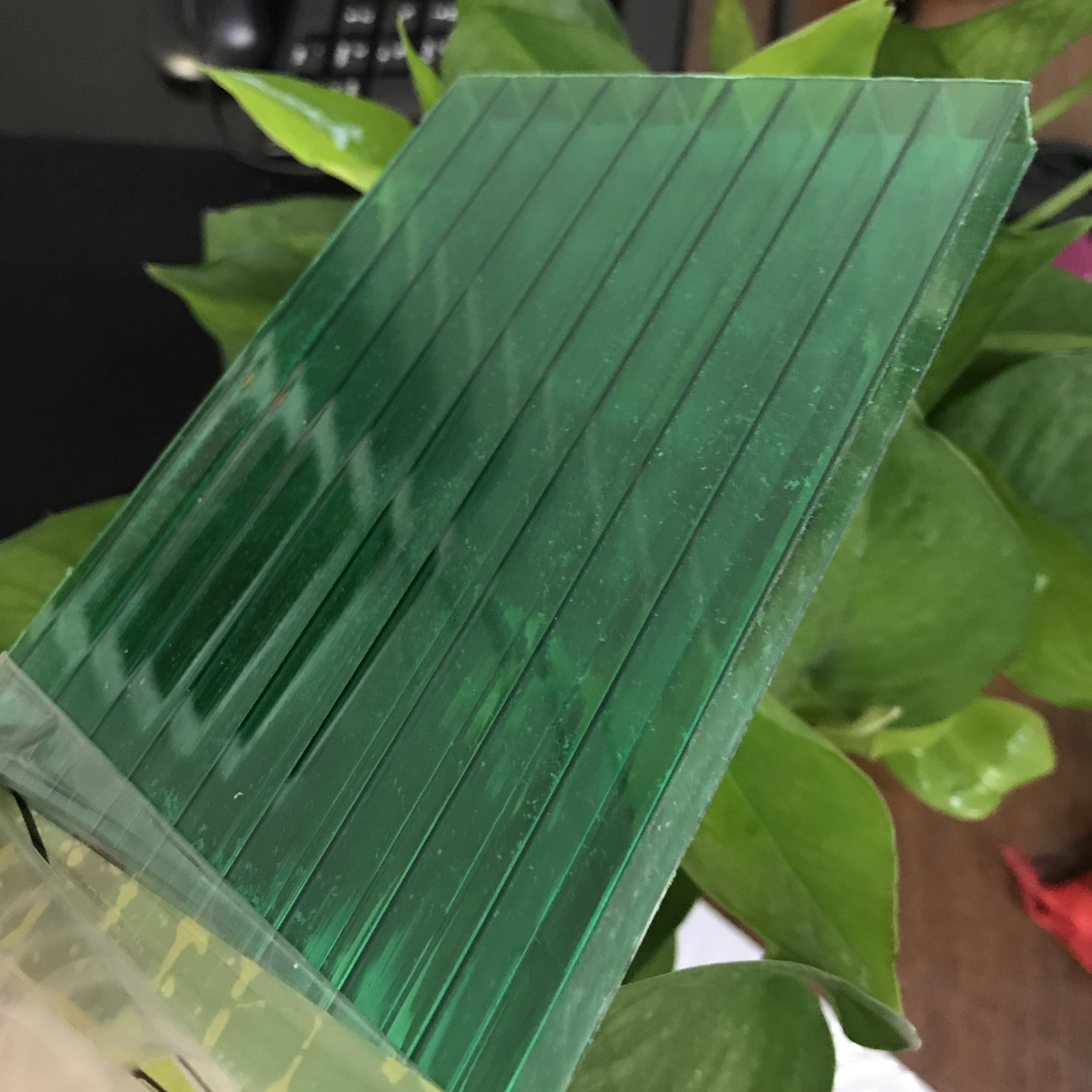 草綠陽光板報價 草綠陽光板哪里好