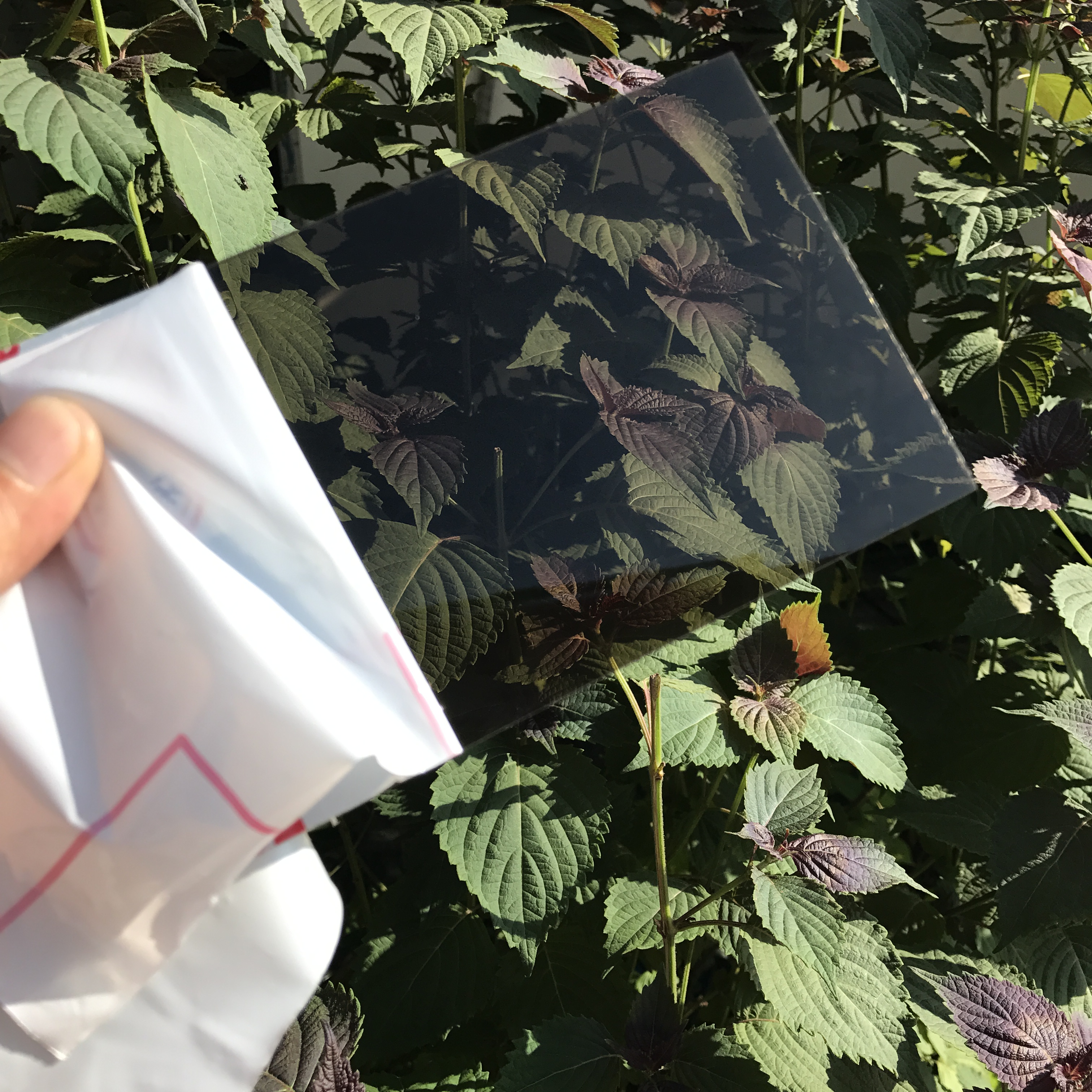 茶色耐力板多少錢  茶色耐力板廠家報價