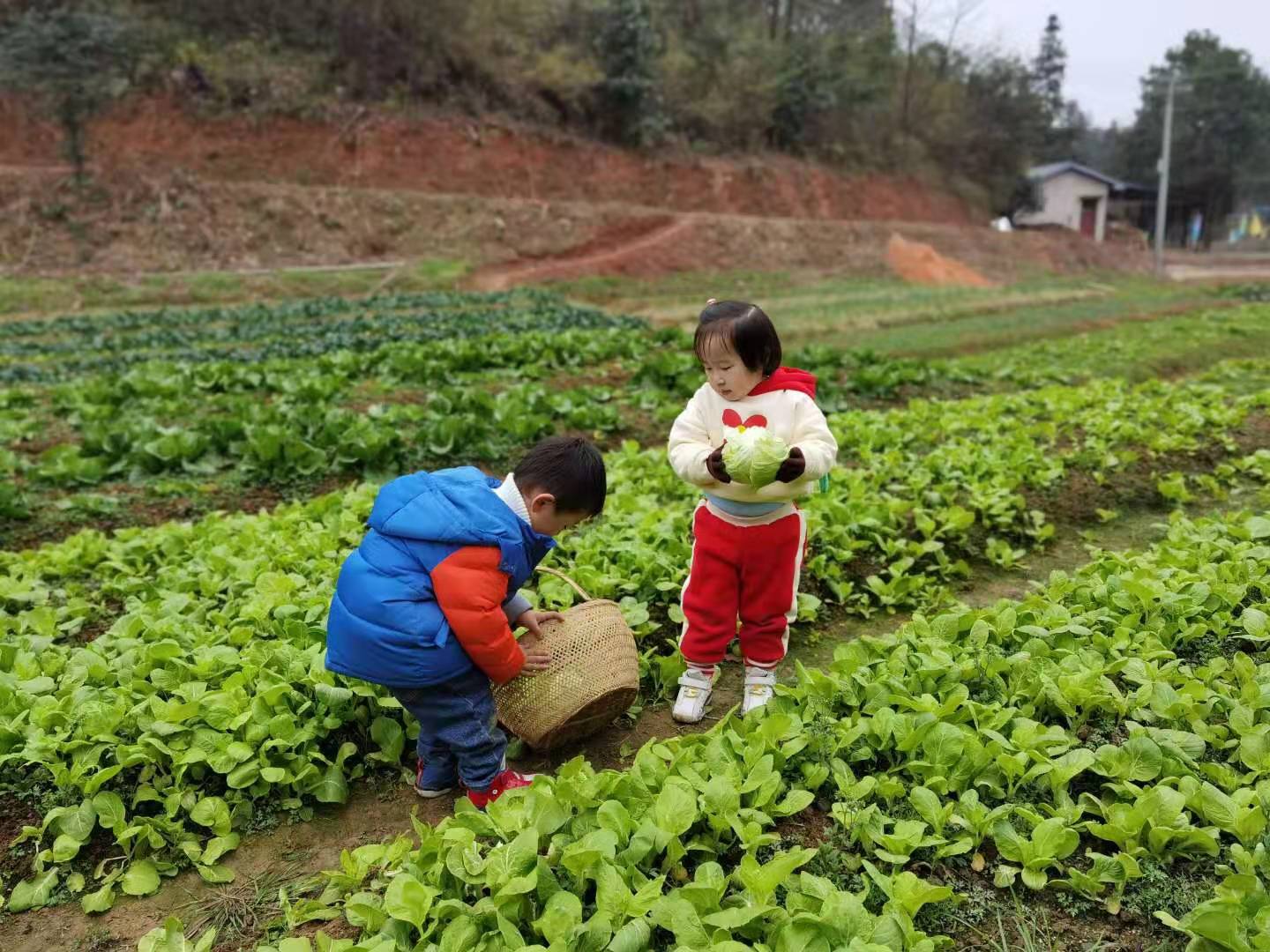 長沙哪里的農(nóng)家樂環(huán)境*，*玩-長沙羅王古寨..