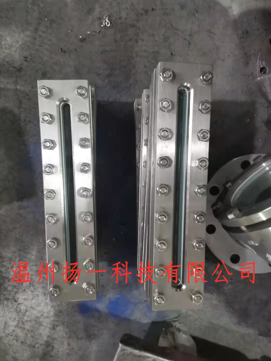 溫州揚一科技碳鋼方框視鏡，304長條視鏡