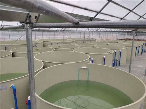 廣西水產(chǎn)養(yǎng)殖恒溫設(shè)備哪里便宜_多少錢_價(jià)格