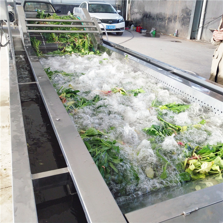 800-大姜高壓噴淋氣泡清洗機定制大姜深加工全套設(shè)備