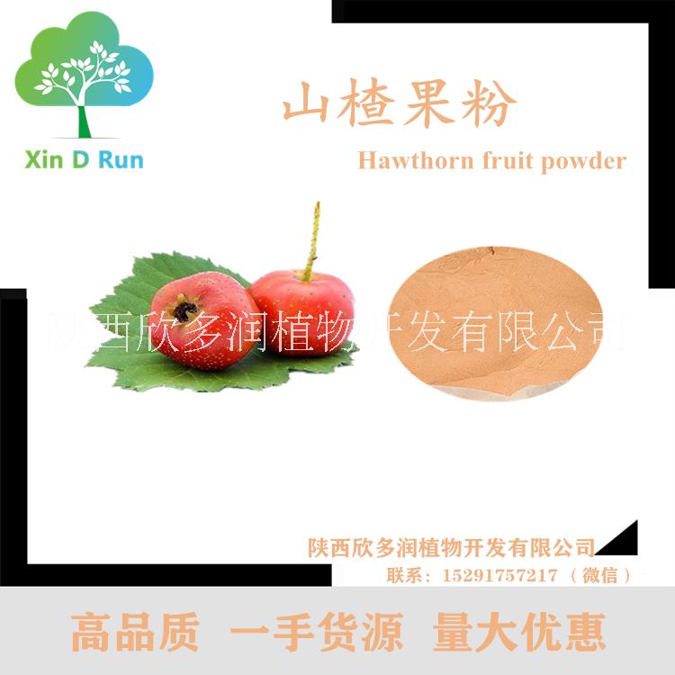 現(xiàn)貨供應(yīng) 山楂果粉