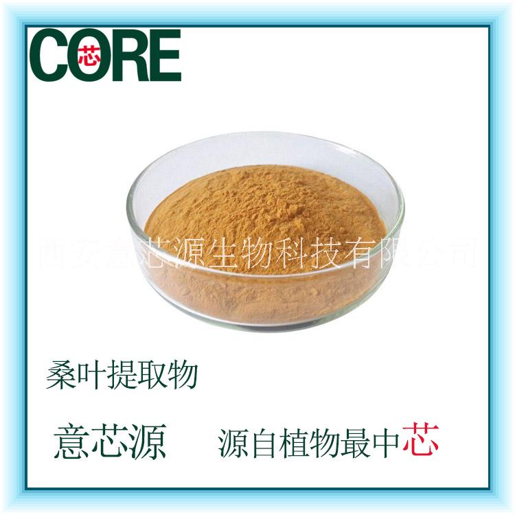 桑葉/提取物物粉/10：1/桑葉提取物液/浸膏/1800廠家DNJ