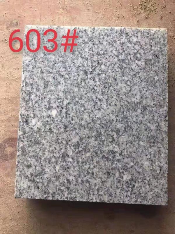 福建603芝麻白加工廠 603芝麻白價(jià)格