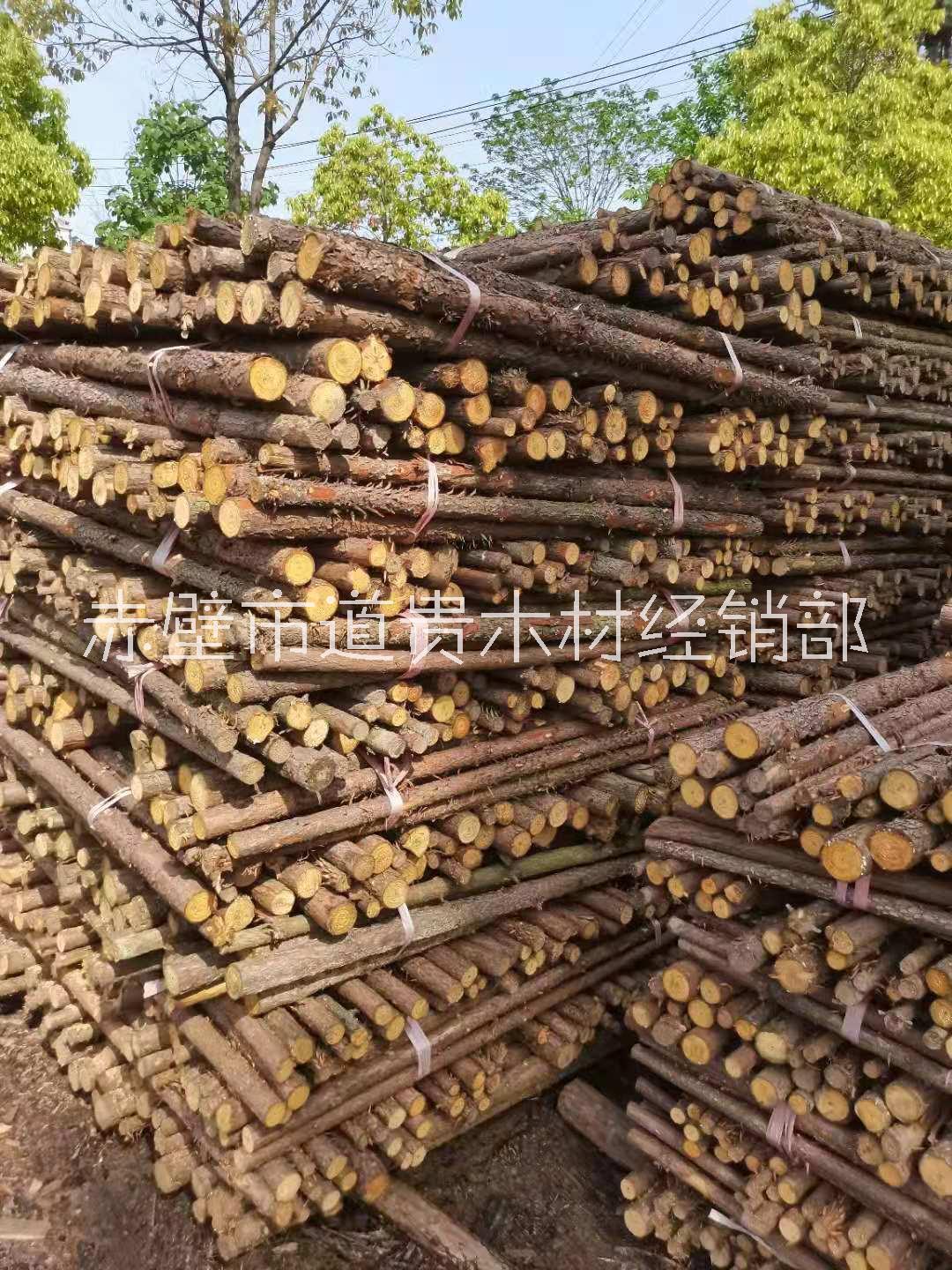 山東方木材生產(chǎn)廠家出廠成本價供應(yīng)哪家便宜