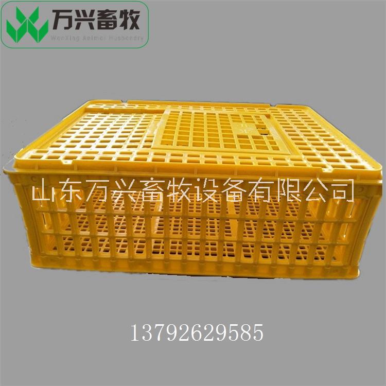 塑料雞籠 大雞轉(zhuǎn)運(yùn)籠 塑料雞筐