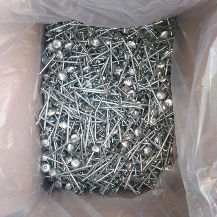 建筑圓釘 鐵釘批發(fā)價(jià)格 鐵釘商家