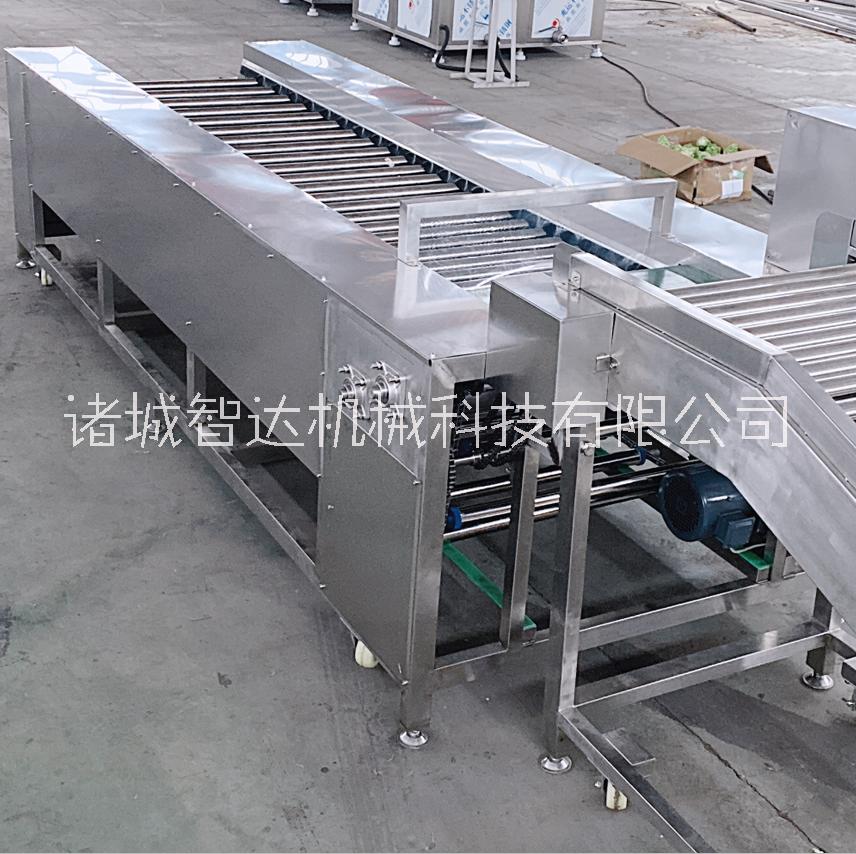 柑橘分級機 水果分級機廠家定制