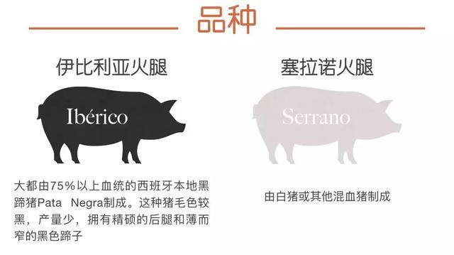 進(jìn)口西班牙火腿清關(guān)詳細(xì)流程  進(jìn)口火腿清關(guān)詳細(xì)流程 進(jìn)口火腿清關(guān)公司  進(jìn)口火腿怎么清關(guān)