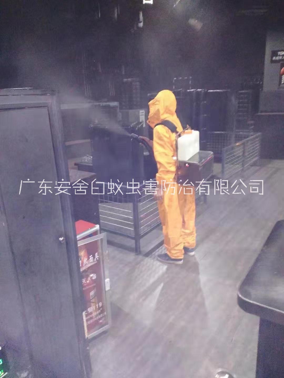 大瀝綠色除蟲滅鼠哪家價格便宜_滅除蟑螂需要多少錢