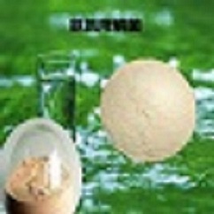 氨氮降解菌種 降解氨氮