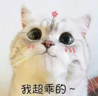科學(xué)養(yǎng)寵：教你讓家養(yǎng)貓乖乖吃飯養(yǎng)寵：教你讓家養(yǎng)貓乖乖吃飯