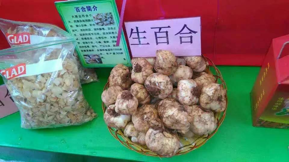 南海綠色蔬菜配送新鮮有營養(yǎng)價(jià)格公道就找佛山市邦和食品有限公司