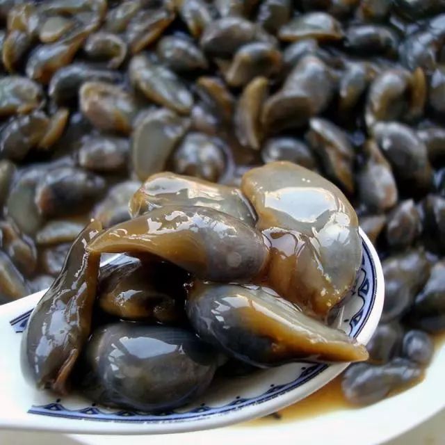 貝殼進(jìn)口清關(guān)報關(guān)需要什么單證