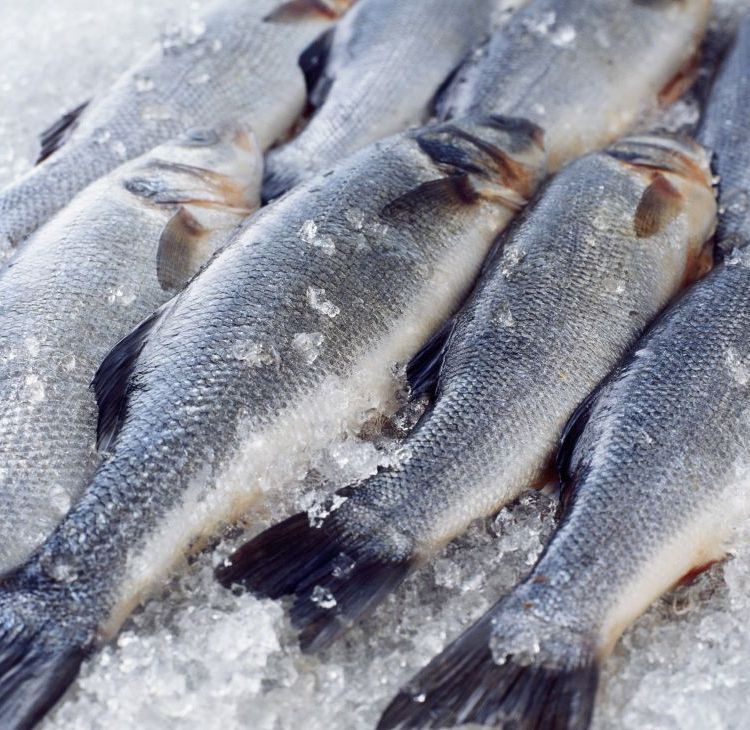 佛山農(nóng)副產(chǎn)品海鮮一條龍配送服務公司