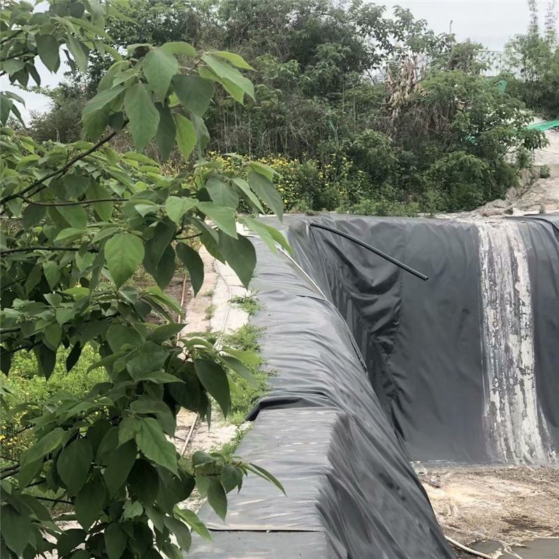 重慶農(nóng)業(yè)養(yǎng)殖土工膜 防滲膜施工規(guī)格延伸率800