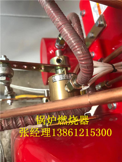 天然氣燃燒機優(yōu)惠價格