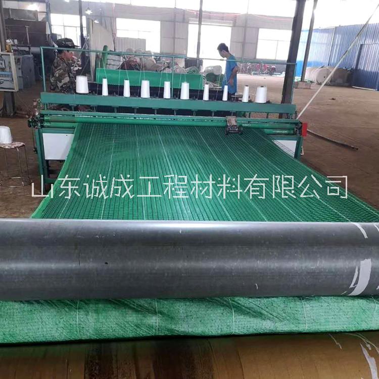 高速公路護(hù)坡施工 加筋椰絲毯 加筋防護(hù)毯  河道綠化施工