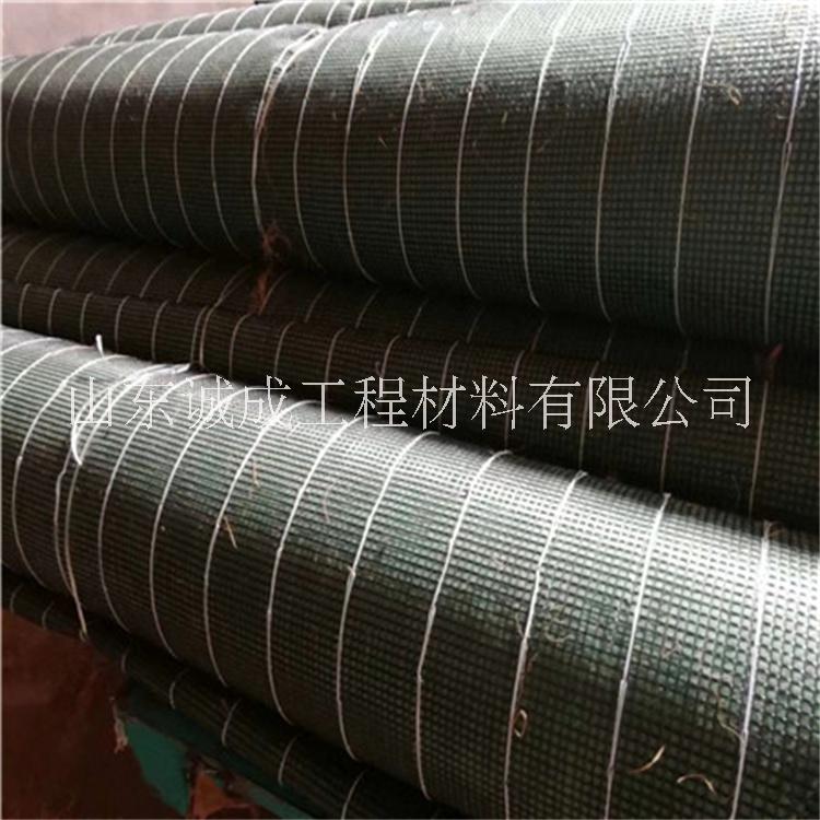 加筋抗沖生態(tài)毯 加筋植生毯 加筋抗沖毯  加筋防沖毯護(hù)坡