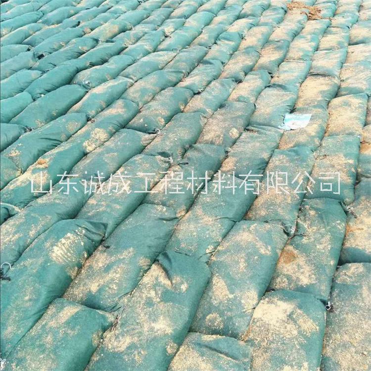 生態(tài)框式護(hù)坡 綠化生態(tài)袋 抗腐蝕 施工方便 生態(tài)袋護(hù)坡
