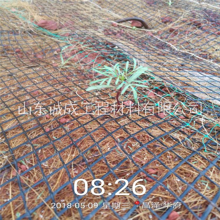 護(hù)坡植生毯廠家 抗沖生態(tài)毯 加筋防沖毯 高速公路邊坡生態(tài)防護(hù)