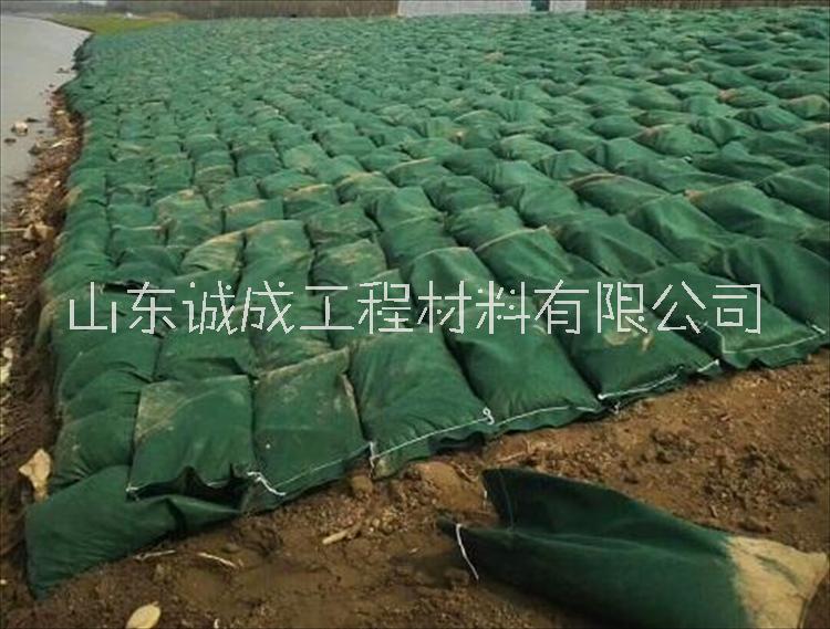 生態(tài)框式護(hù)坡 綠化生態(tài)袋 抗腐蝕 施工方便 生態(tài)袋護(hù)坡