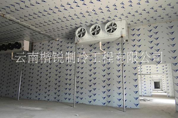 大理速凍冷庫設計方案_大理速凍冷庫價格_大理速凍冷庫安裝熱線