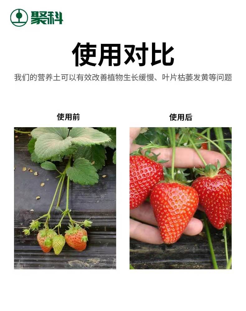 安徽聚科營(yíng)養(yǎng)生產(chǎn)泥炭土草炭土營(yíng)養(yǎng)土育苗基質(zhì)花卉用草炭營(yíng)養(yǎng)土批發(fā) 聚科營(yíng)養(yǎng)生產(chǎn)泥炭土草炭土營(yíng)養(yǎng)土