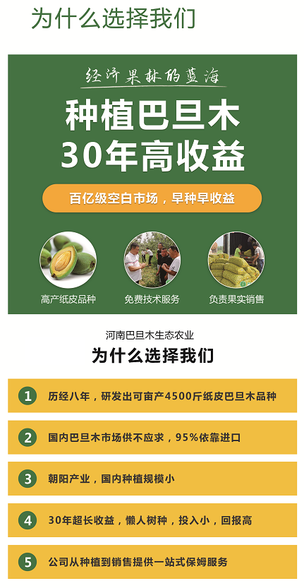 巴旦木樹(shù)苗哪里買(mǎi)?*巴旦木生態(tài)農(nóng)業(yè)