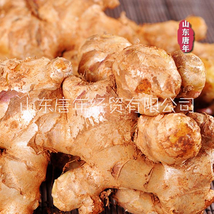 新鮮生姜 蔬菜新姜 月子姜 嫩姜 老姜