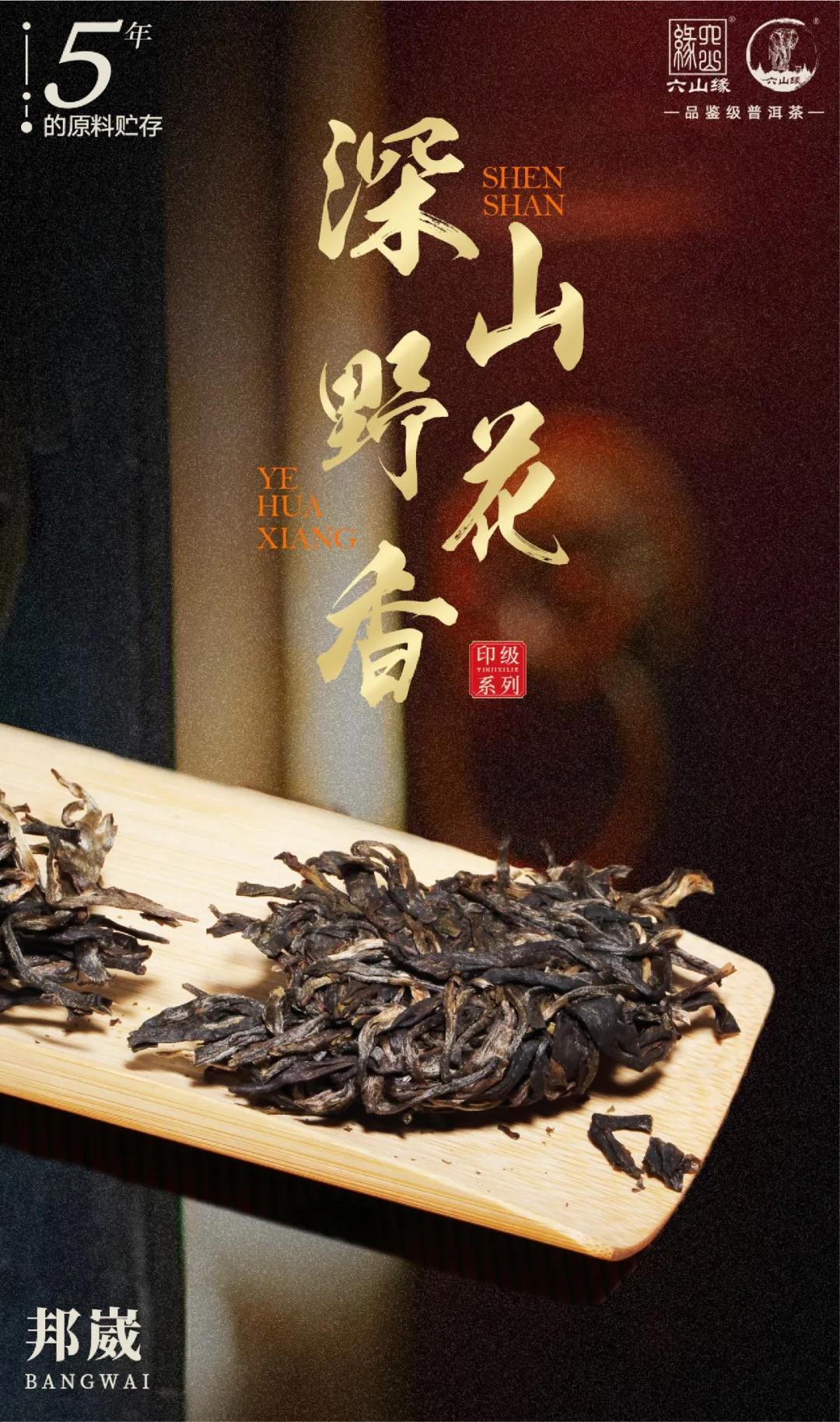 5年陳韻 — 2020年【黃印】 普洱茶 黃印版