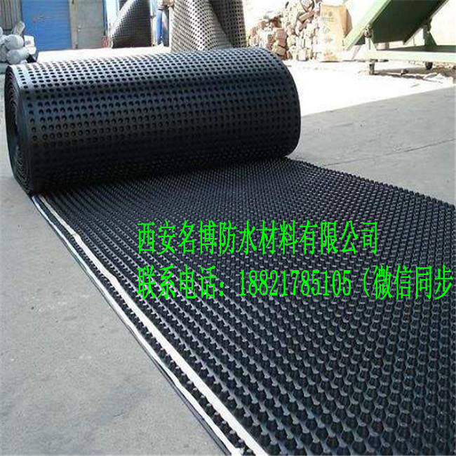 蓄排水板 塊狀蓄排水板 小區(qū)綠化蓄排水板廠家 現(xiàn)貨供應(yīng)