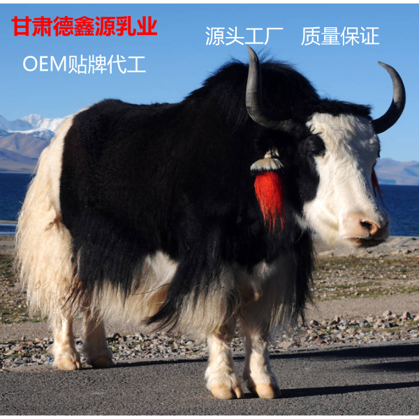 純牦牛奶粉貼牌代加工哪家比較好