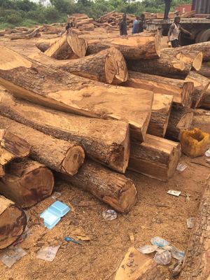 木制品進口報關清關