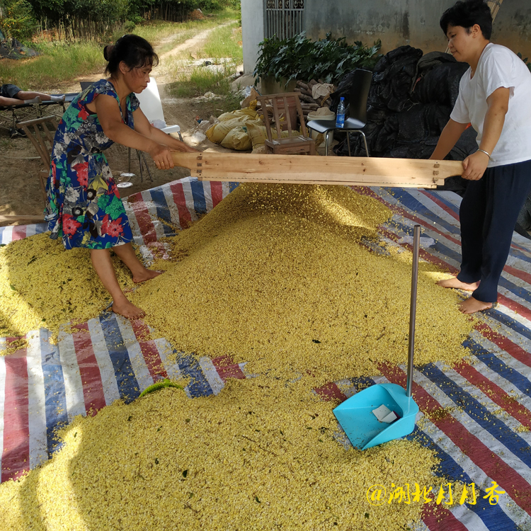 咸寧干桂花 批發(fā)供應(yīng)干桂花 精選干桂花大量出售 湖北產(chǎn)地直銷