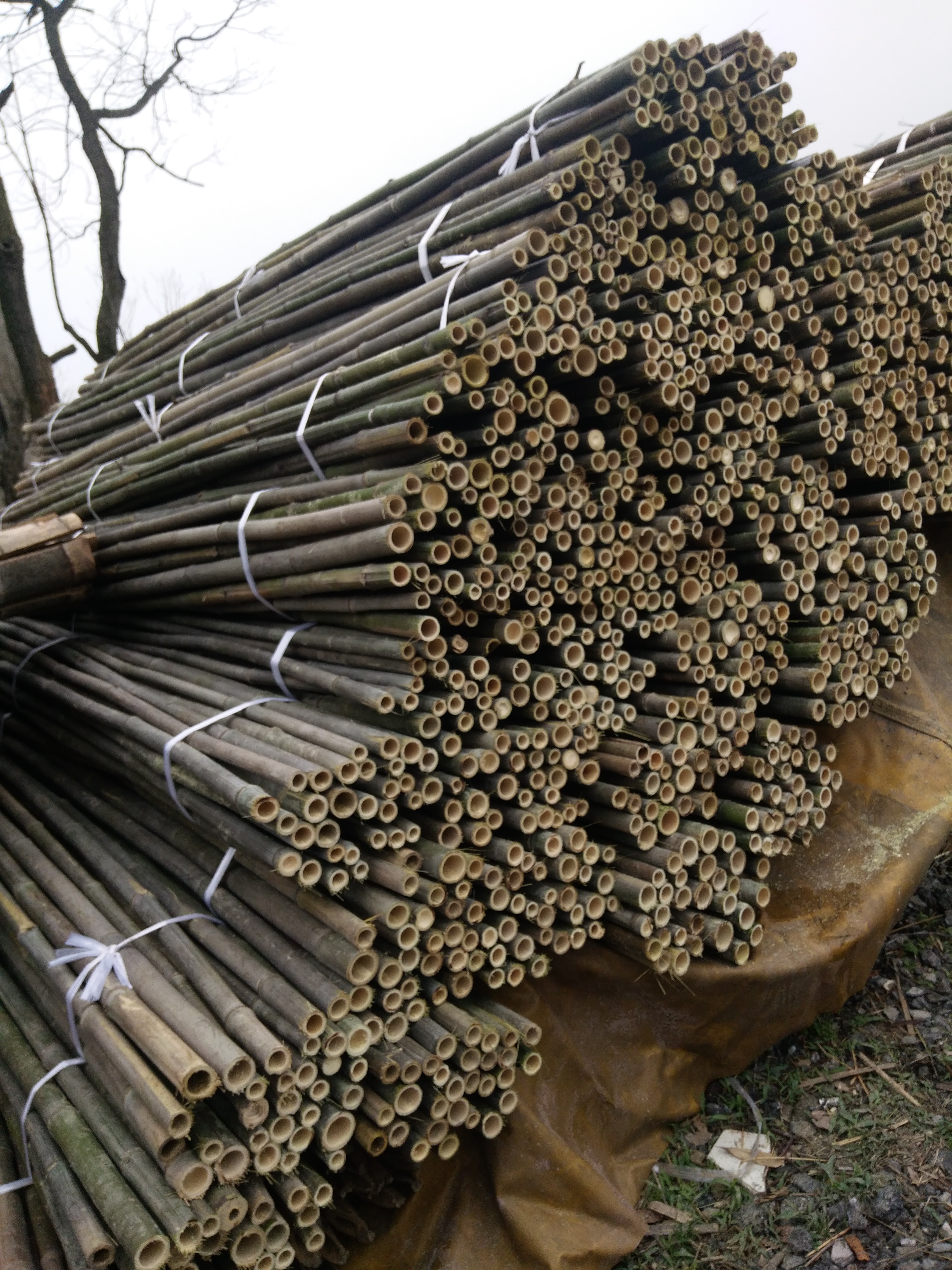 毛竹腳手片舊片工地架子竹片楠竹老毛竹竹芭片批量批發(fā)竹跳板 竹木