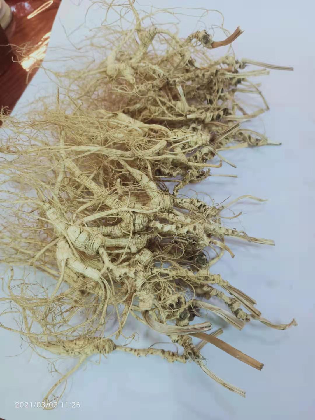 人參鹿茸山參靈芝東北特產(chǎn)產(chǎn)地直銷全國招代理